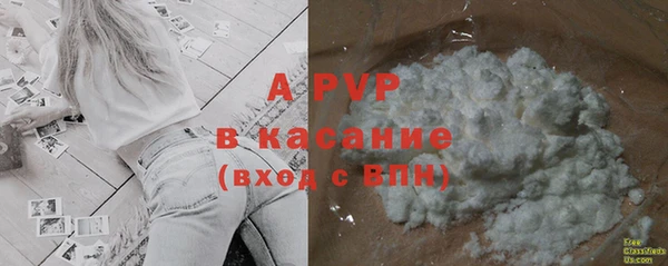apvp Алзамай