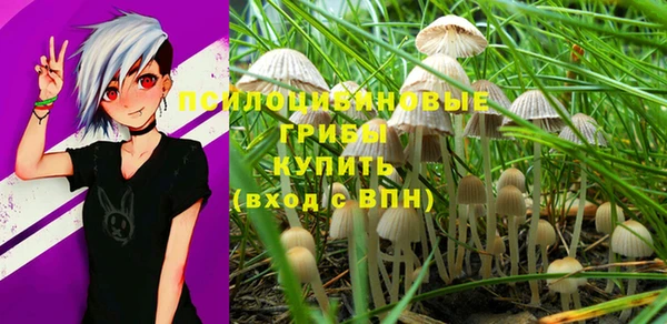 PSILOCYBIN Алексеевка