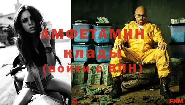 гидра Алексин