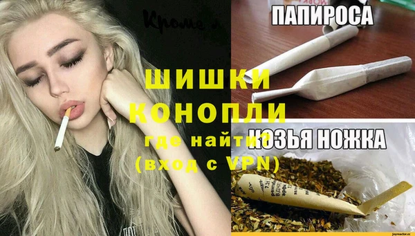 гидра Алексин