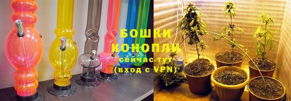 амф Россошь