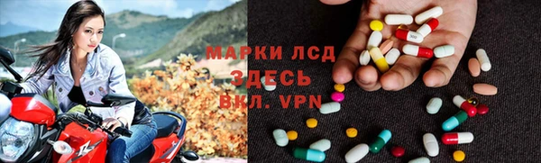 apvp Алзамай