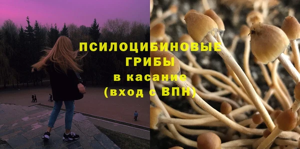 гидра Алексин