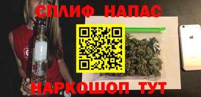 мяу мяу мука Кингисепп