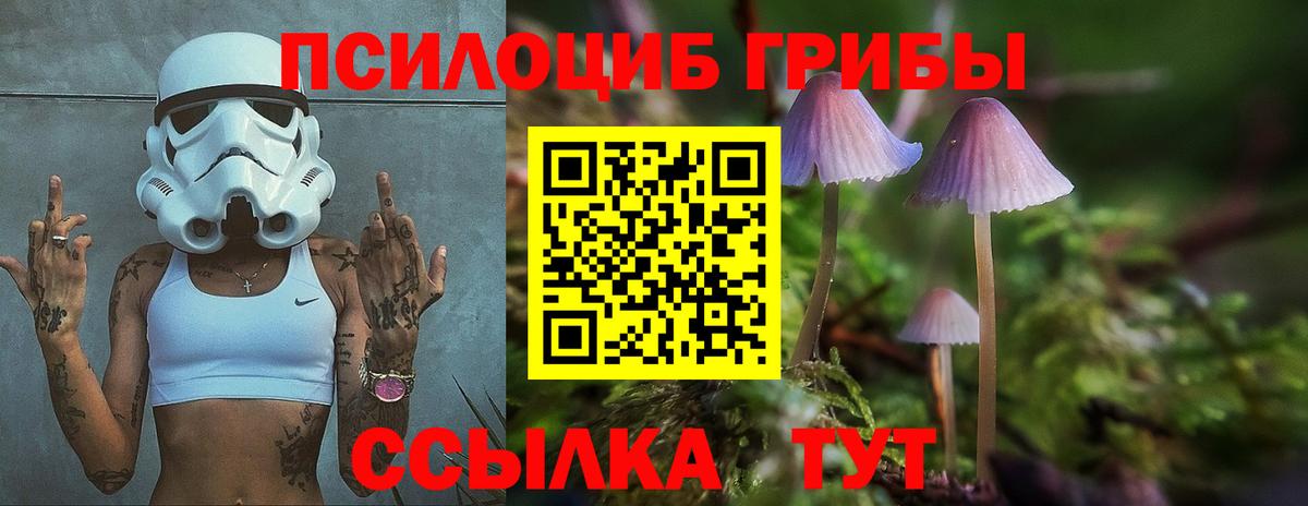 Псилоцибиновые грибы мухоморы  Вход с VPN  Галлюциногенные грибы Psilocybine cubensis  Кропоткин 